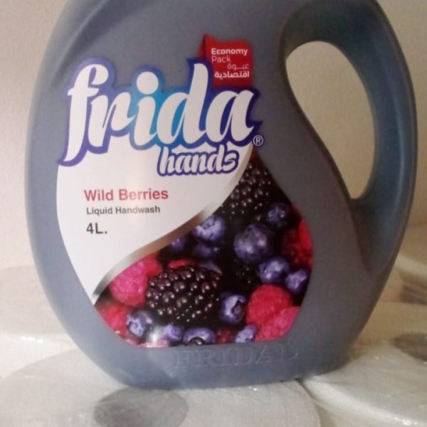 هاند سوب فريده 4 لتر